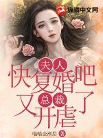 梁以沫冷夜沉免费阅读